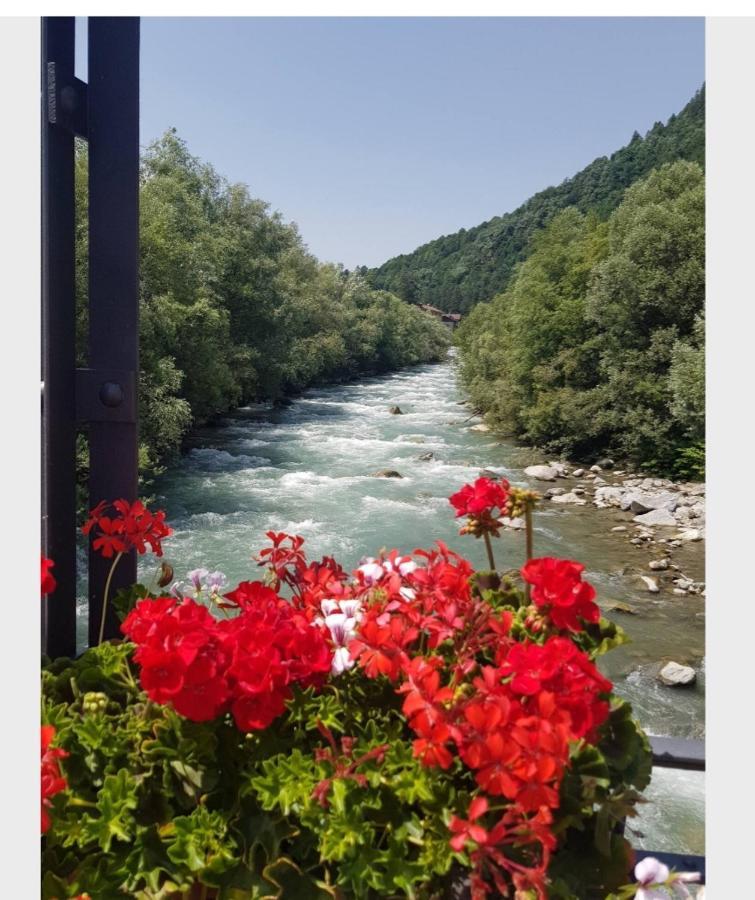 Marilleva 1400 Tra Sport E Natura Dış mekan fotoğraf